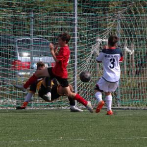 IMG 3071 IMG 3071