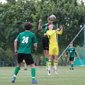 IMG 7364