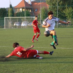 IMG 3995 IMG 3995