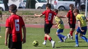IMG 3142 IMG 3142