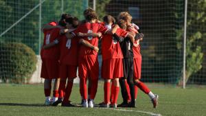 IMG 6033 IMG 6033